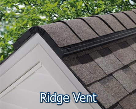 Ridge Vent