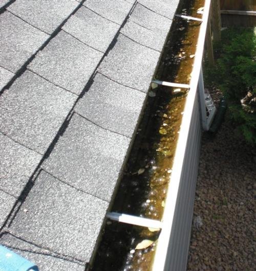 Gutter Cleaning