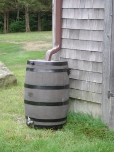 Rain Barrel