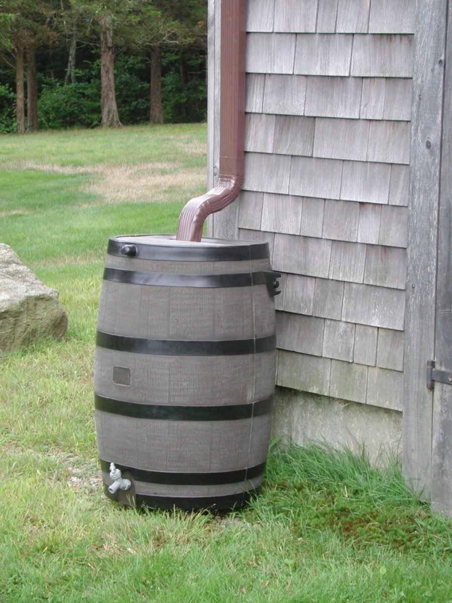 Rain Barrel
