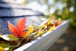 Fall guide to gutters