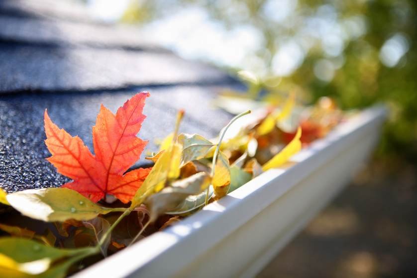 Fall guide to gutters