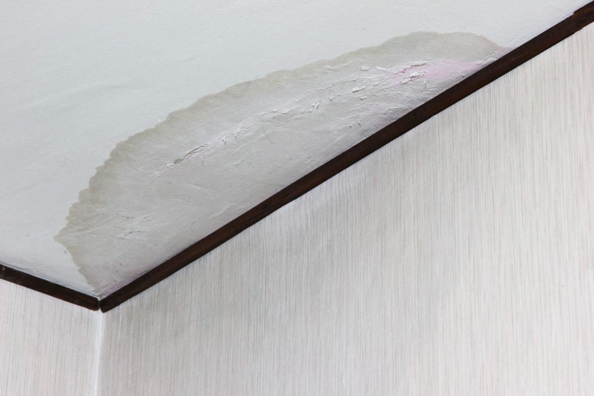 water stains on ceiling