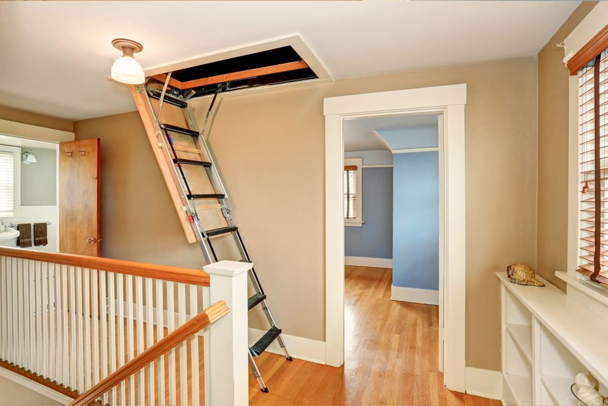 Attic inspection