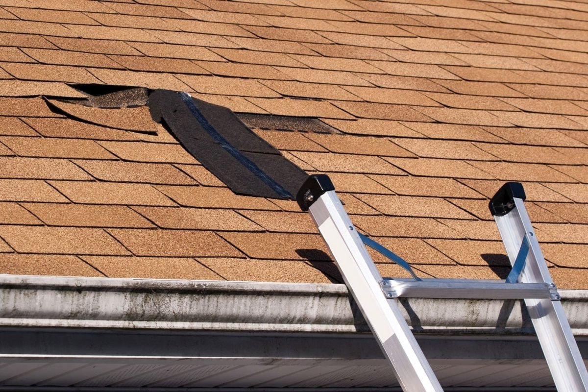 Damaged roof shingles