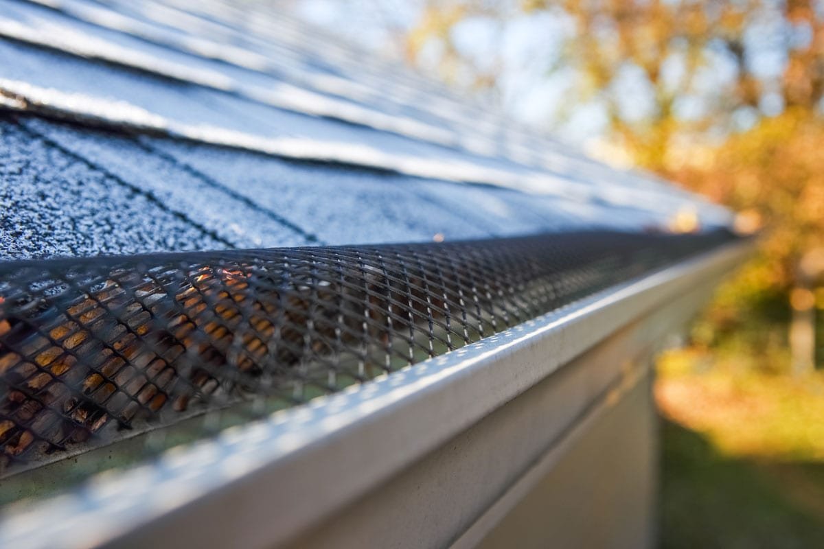 Gutter screens